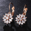 Fashion Floral Crystal Earrings:FJD,