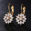 Fashion Floral Crystal Earrings:FJD,