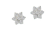 Fashion 925 sterling silver Korea style lovely earrings:FJD,