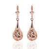 Crystal Long Drop Earrings:FJD,